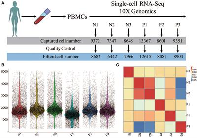 Single-cell RNA sequencing of peripheral blood reveals immune cell dysfunction in premature ovarian insufficiency